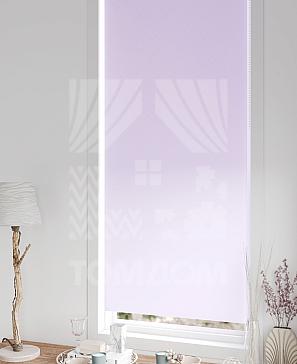 Рулонная штора «Рилварт - 330 - ширина 68 см»