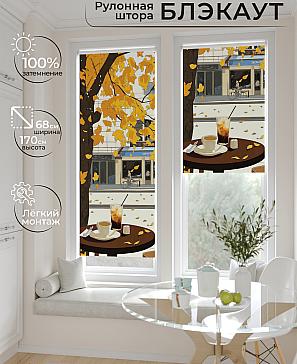 Рулонная штора «Рилварт - 475 - ширина 68 см» | фото