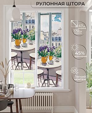 Рулонная штора «Ранфрик - 460  - ширина 47 см» | фото