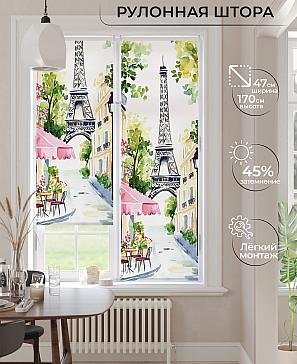 Рулонная штора «Ранфрик - 470  - ширина 47 см» | фото