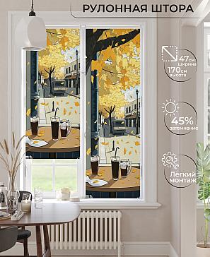 Рулонная штора «Ранфрик - 479  - ширина 47 см» | фото