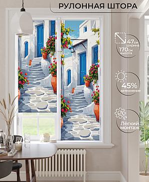 Рулонная штора «Ранфрик - 488  - ширина 47 см» | фото