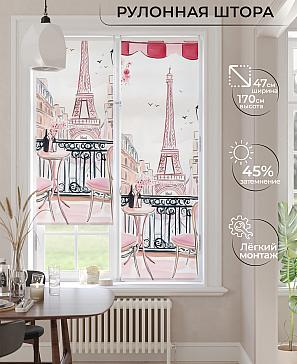 Рулонная штора «Ранфрик - 509  - ширина 47 см» | фото