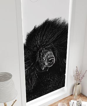 Рулонная штора «Федера - 580 - ширина 62 см»