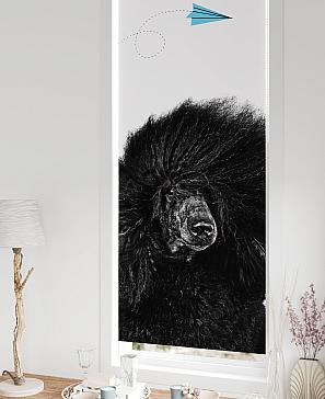 Рулонная штора «Федера - 580 - ширина 62 см»