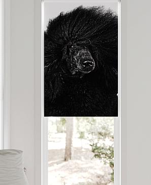 Рулонная штора «Федера - 580 - ширина 62 см»