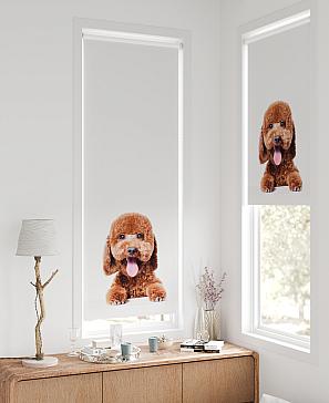 Рулонная штора «Федера - 631 - ширина 62 см» | фото 2