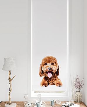 Рулонная штора «Федера - 631 - ширина 62 см» | фото 3