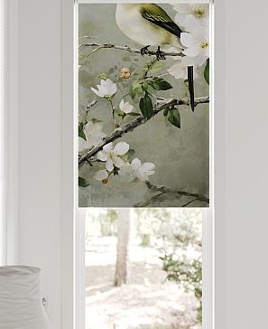 Рулонная штора «Федера - 648 - ширина 62 см»