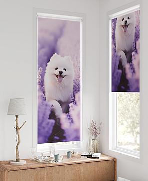 Рулонная штора «Федера - 658 - ширина 62 см» | фото 2