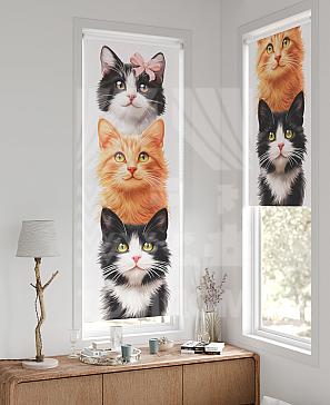 Рулонная штора «Федера - 672 - ширина 62 см» | фото 2