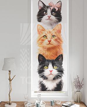 Рулонная штора «Федера - 672 - ширина 62 см» | фото 3