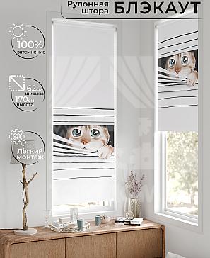 Рулонная штора «Федера - 756 - ширина 62 см» | фото