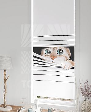 Рулонная штора «Федера - 756 - ширина 62 см»