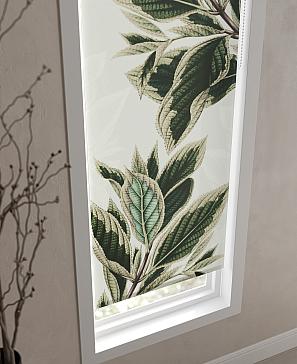 Рулонная штора «Теринт - 04 - ширина 47 см» | фото 3