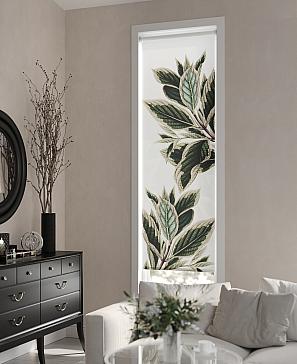 Рулонная штора «Теринт - 04 - ширина 47 см»