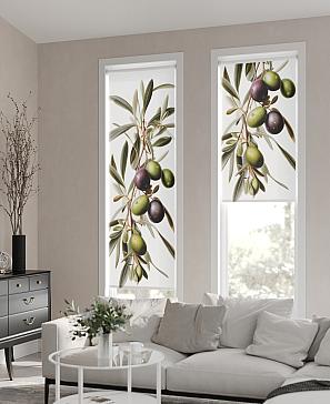 Рулонная штора «Теринт - 14 - ширина 47 см» | фото 2