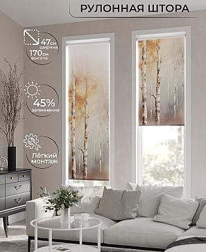 Рулонная штора «Теринт - 60 - ширина 47 см» | фото
