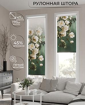 Рулонная штора «Теринт - 101 - ширина 47 см» | фото