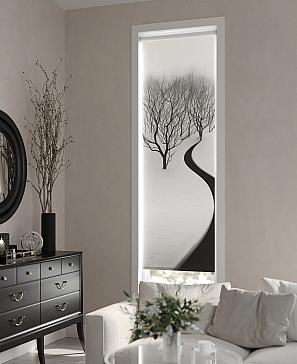 Рулонная штора «Теринт - 117 - ширина 47 см»