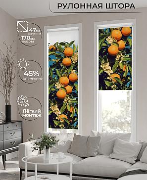 Рулонная штора «Теринт - 156 - ширина 47 см» | фото
