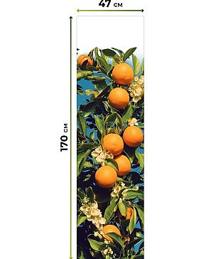 Рулонная штора «Теринт - 156 - ширина 47 см»