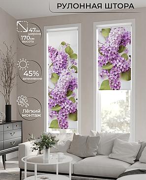 Рулонная штора «Теринт - 169 - ширина 47 см» | фото