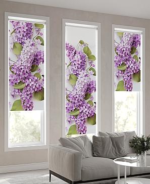 Рулонная штора «Теринт - 169 - ширина 47 см»