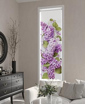 Рулонная штора «Теринт - 169 - ширина 47 см»