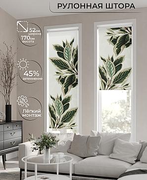 Рулонная штора «Феринт - 04 - ширина 52 см» | фото