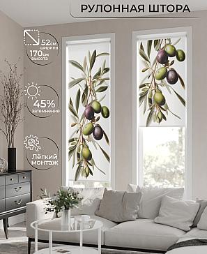 Рулонная штора «Феринт - 14 - ширина 52 см» | фото