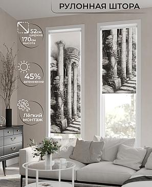 Рулонная штора «Феринт - 46 - ширина 52 см» | фото