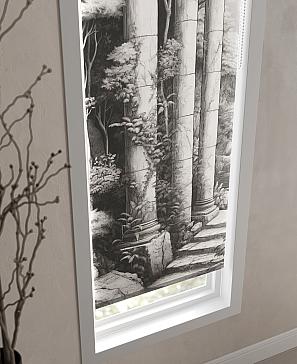 Рулонная штора «Феринт - 46 - ширина 52 см» | фото 3