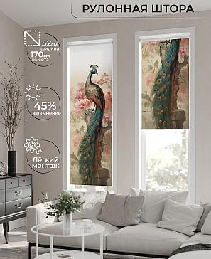 Рулонная штора «Феринт - 141 - ширина 52 см» | фото