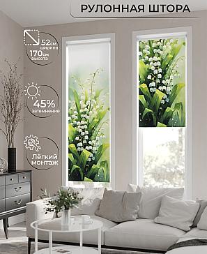Рулонная штора «Феринт - 168 - ширина 52 см» | фото