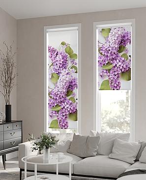 Рулонная штора «Феринт - 169 - ширина 52 см» | фото 2