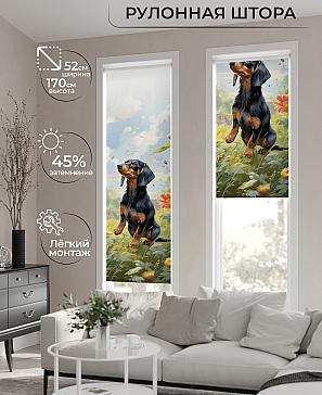 Рулонная штора «Феринт - 185 - ширина 52 см» | фото