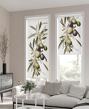 Рулонная штора «Флордо - 14 - ширина 57 см» | фото 2