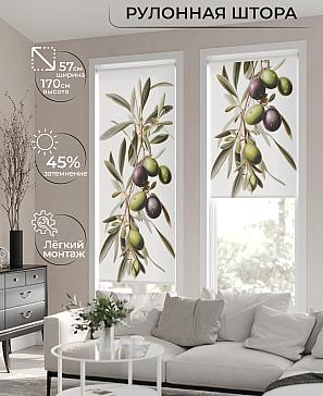Рулонная штора «Флордо - 14 - ширина 57 см» | фото