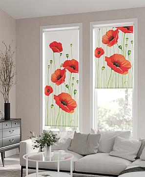 Рулонная штора «Флордо - 25 - ширина 57 см» | фото 2