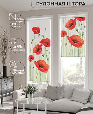 Рулонная штора «Флордо - 25 - ширина 57 см» | фото