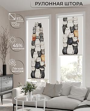 Рулонная штора «Флордо - 69 - ширина 57 см» | фото