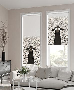 Рулонная штора «Флордо - 81 - ширина 57 см» | фото 2