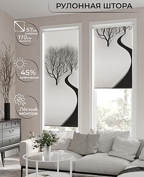 Рулонная штора «Флордо - 117 - ширина 57 см» | фото