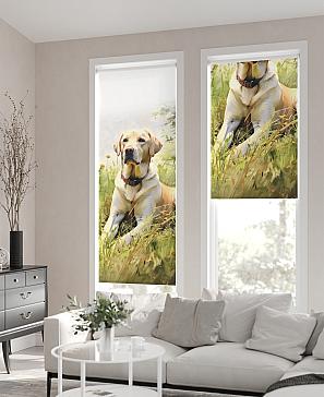 Рулонная штора «Флордо - 154 - ширина 57 см» | фото 2