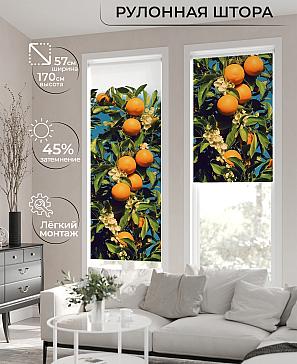 Рулонная штора «Флордо - 156 - ширина 57 см» | фото