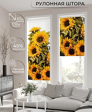 Рулонная штора «Флордо - 157 - ширина 57 см» | фото