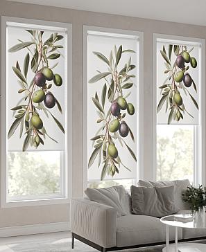 Рулонная штора «Нертонс - 14 - ширина 68 см»