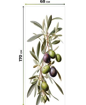 Рулонная штора «Нертонс - 14 - ширина 68 см»