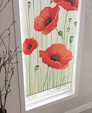 Рулонная штора «Нертонс - 25 - ширина 68 см» | фото 3